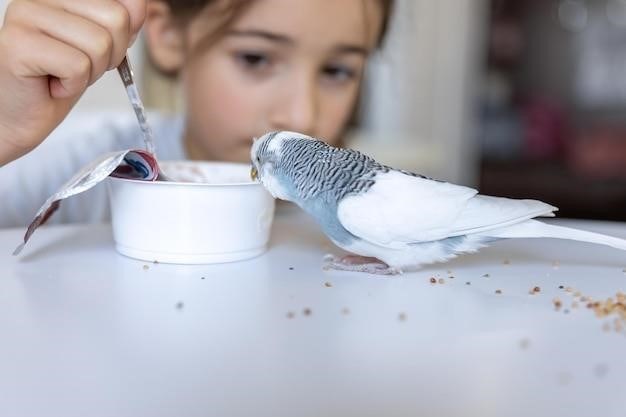 smart bird feeder instructions