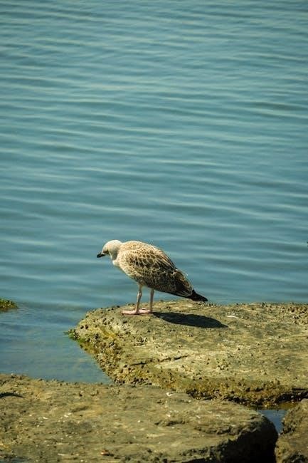 the little seagull handbook 4th edition pdf