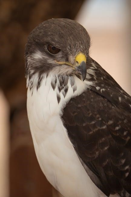 florida trees identification guide